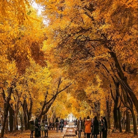 زیباترین خیابان های اصفهان